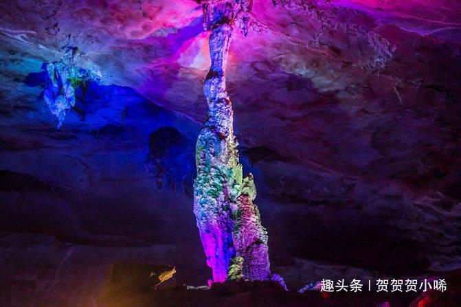 逗小猴开心系列178