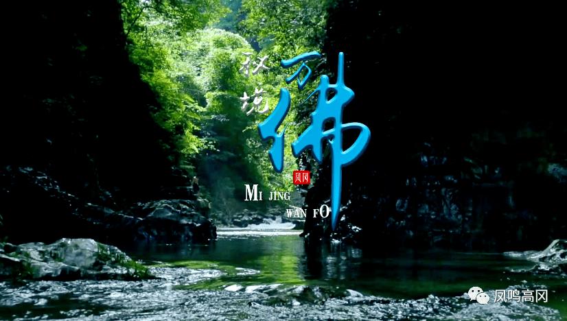 探索李宁曾经被誉为体操王子,他都获得过哪些傲人的成绩?知识星球,一起开启学习新世界