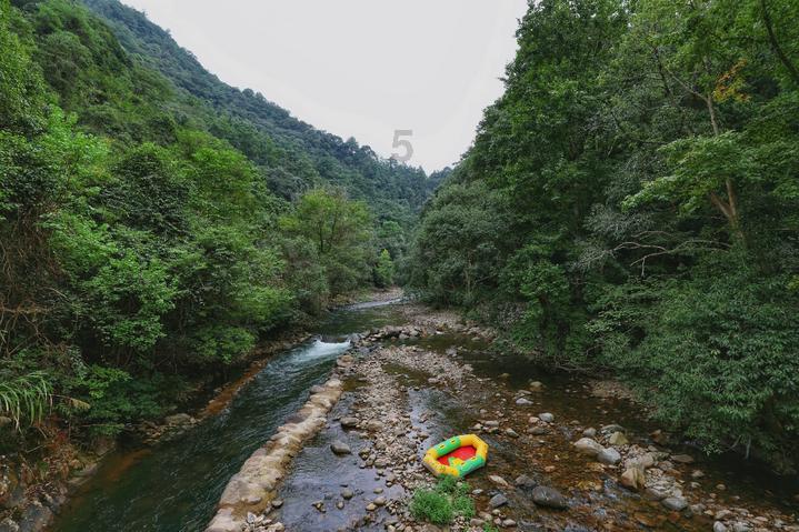 时间教授