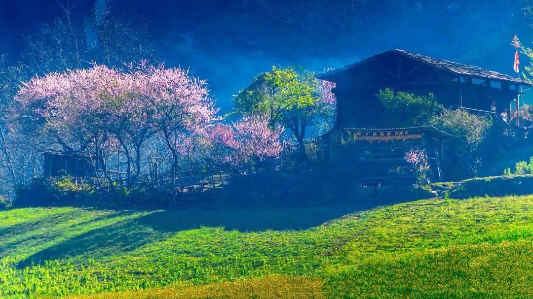 大山羔羊逃生