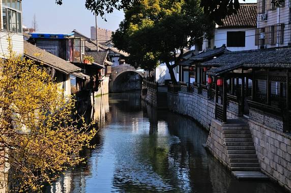 东京迷城