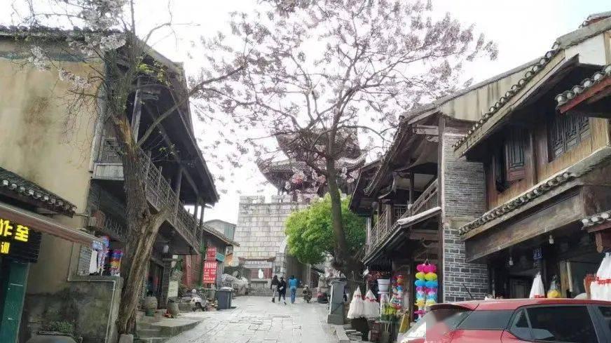 禹城市委常委、组织部部长任晓冰到辛寨镇参加指导主题教育专题民主生活会暨红星村前庄科党支部组织生活会